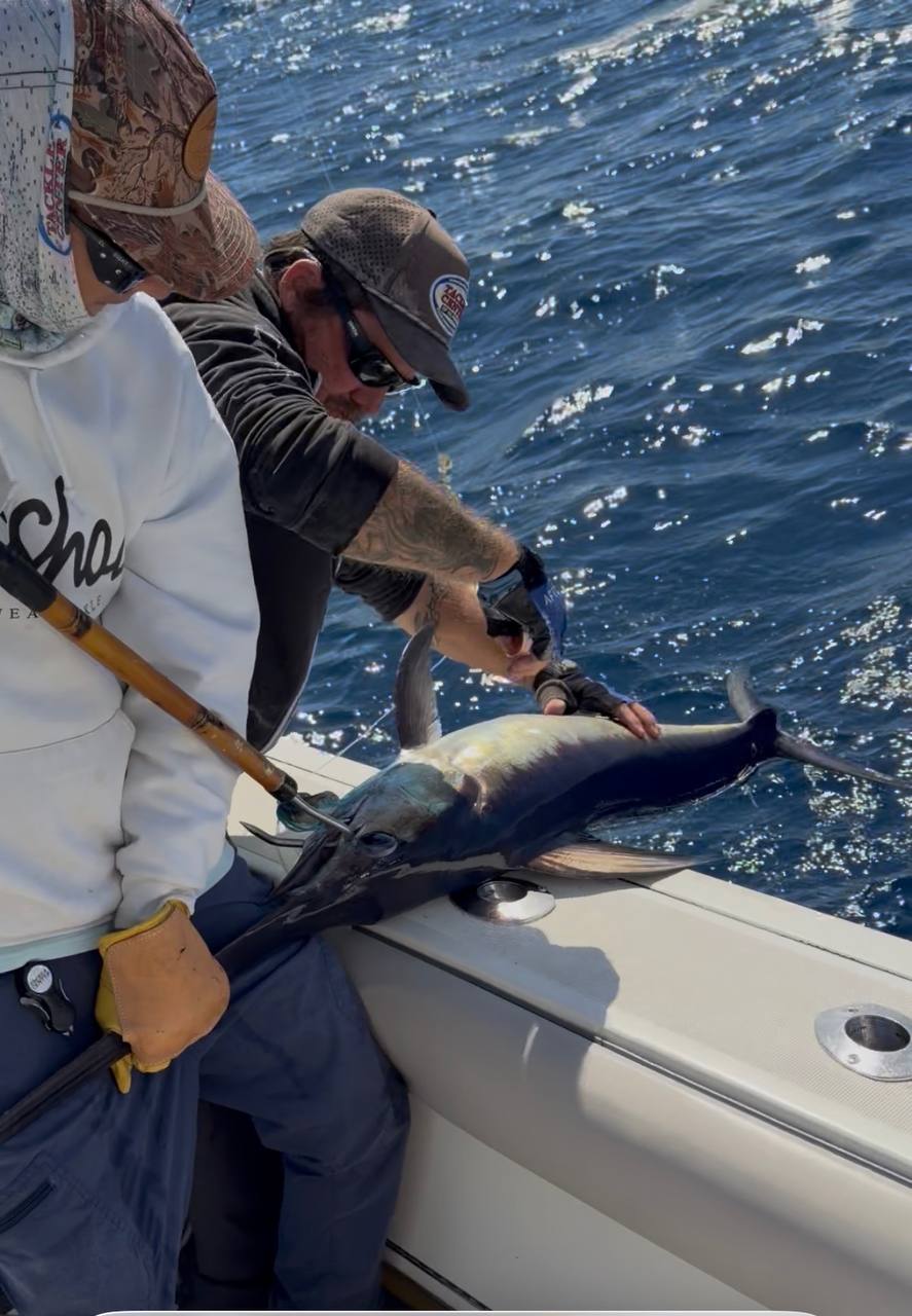 Swordfish boatside release