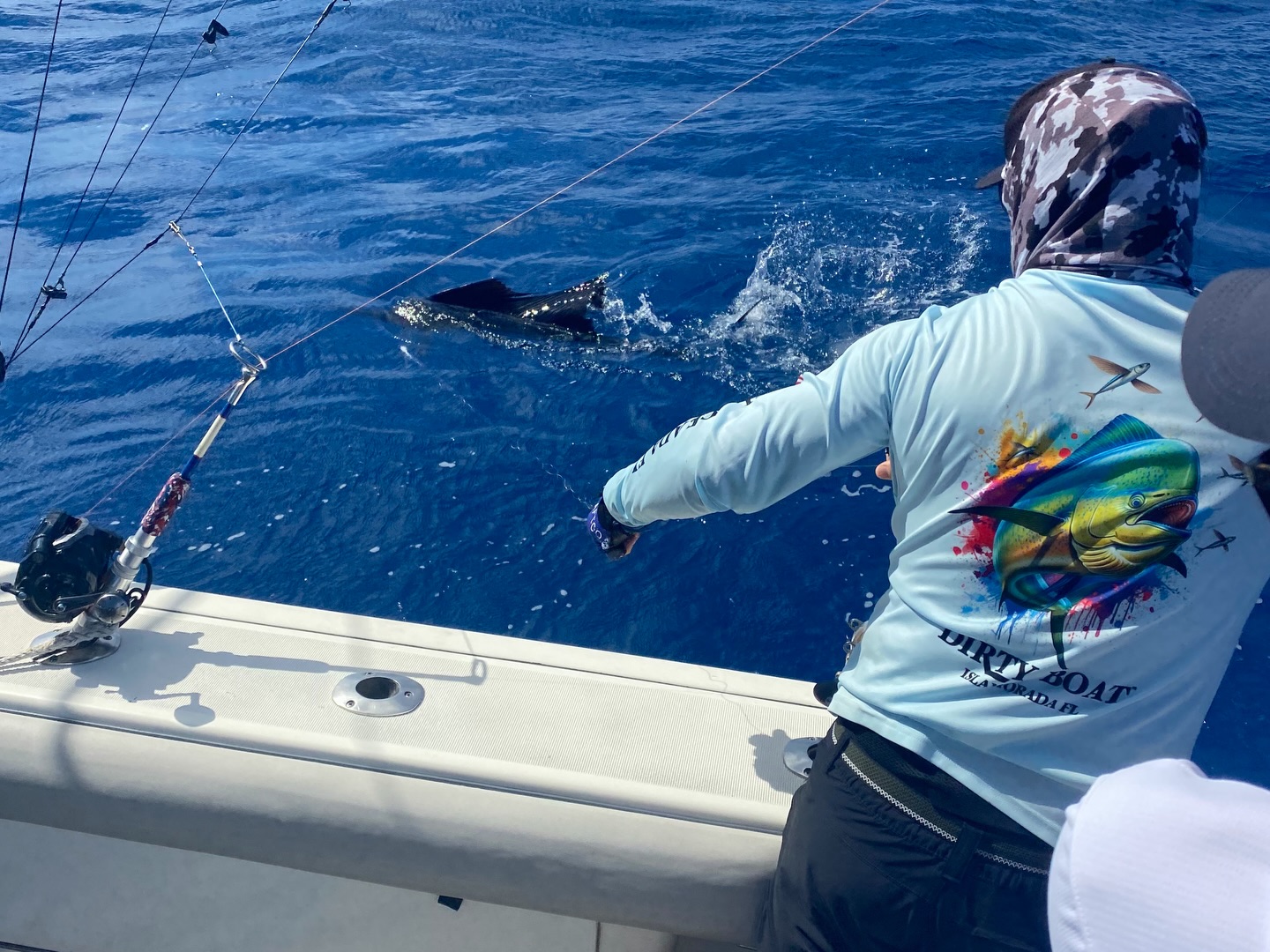 Leader touched, sailfish boatside for release